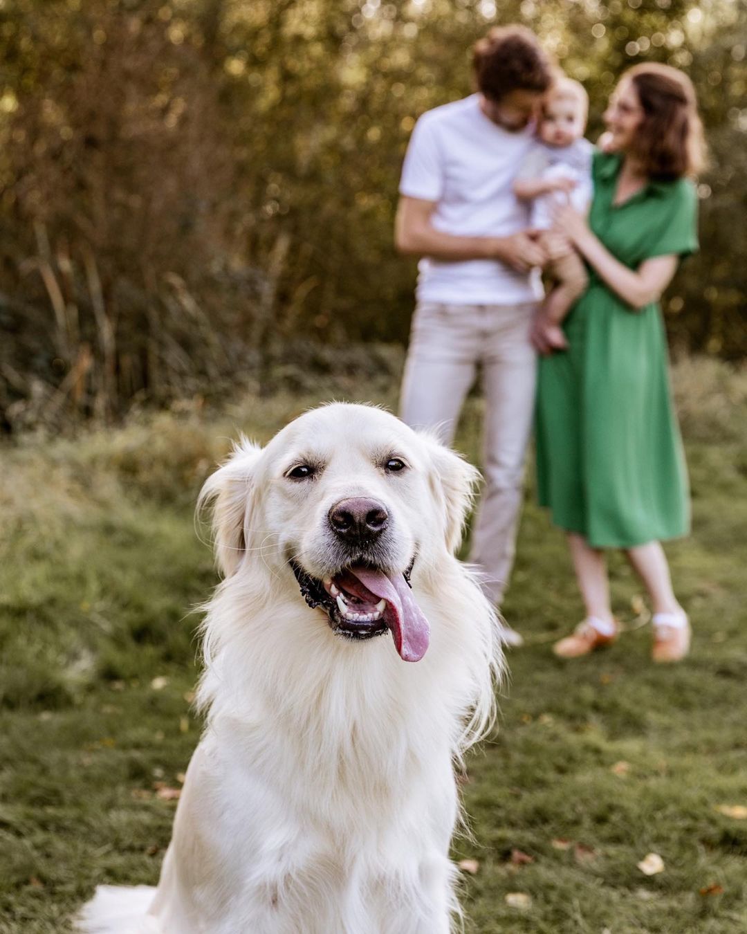 Pawsitive vibes 🐾🐶🥰

Toen Ellen me vroeg of hun lieve viervoeter mee mocht naar hun gezinsshoot, was mijn antwoord uiteraard JAAAAA! 😍 en zeker als hij dan nog eens zoooo flink is en precies een geboren fotomodel is 🥹 

Laat die huisdieren dus niet thuis ehhhh! Hoe meer poten, hoe meer vreugd 🫶🏼 

#dog #doglover #cute #paws #photography #family #love #familyphotography #photographer #gent #canon #canonphotography #flotografie